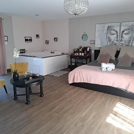 Romantique Avec Jacuzzi * Le Barp